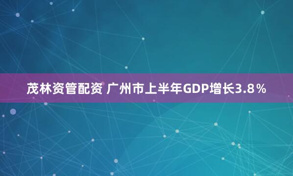 茂林资管配资 广州市上半年GDP增长3.8％