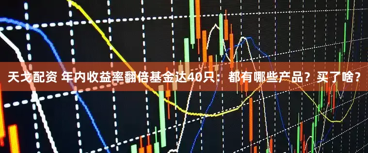 天戈配资 年内收益率翻倍基金达40只：都有哪些产品？买了啥？