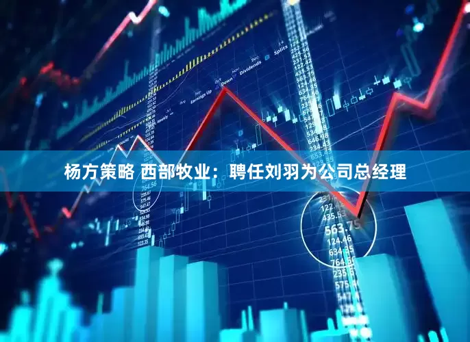 杨方策略 西部牧业：聘任刘羽为公司总经理